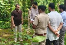 प्रधान मुख्य वन संरक्षक एवं वन बल प्रमुख ने जशपुर के भैरव पहाड़ और पर्यावरण वाटिका का किया निरीक्षण प्रधान मुख्य वन संरक्षक एवं वन बल प्रमुख ने जशपुर के भैरव पहाड़ और पर्यावरण वाटिका का किया निरीक्षण