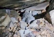 बस्तर में 48 घंटे का मिशन रीयूनाइट सफल बस्तर में 48 घंटे का मिशन रीयूनाइट सफल