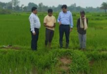 नारायणपुर : डिजिटल क्रॉप सर्वे को मिली गति, तीन गांवों में निरीक्षण के बाद कार्य में तेजी नारायणपुर : डिजिटल क्रॉप सर्वे को मिली गति, तीन गांवों में निरीक्षण के बाद कार्य में तेजी