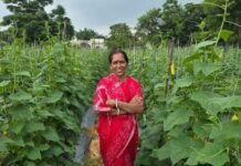 बिहान से बहनों को मिला आर्थिक संबल, खीरे की खेती से सुभद्रा मंडल ने लिखी आत्मनिर्भरता की नई कहानी बिहान से बहनों को मिला आर्थिक संबल, खीरे की खेती से सुभद्रा मंडल ने लिखी आत्मनिर्भरता की नई कहानी