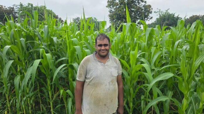 राष्ट्रीय खाद्य सुरक्षा एवं पोषण मिशन से किसानों को मिल रहा संबल
