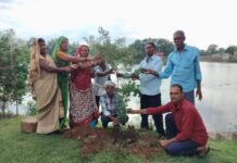 पीपरछेड़ी में उत्साह पूर्वक यादव समाज के लोगों ने रोपे फलदार/छायादार पौधे पीपरछेड़ी में उत्साह पूर्वक यादव समाज के लोगों ने रोपे फलदार/छायादार पौधे बालोद/पीपरछेड़ी : ग्राम पीपरछेड़ी में एक पेड़ मां के नाम उत्साहपूर्ण वृहद योजना के तहत ग्रामीण यादव समाज के महिला एवं पुरुषों ने शनिदेव मंदिर के पास फलदार एवं छायादार पौधे रोपित किए। यादव सामाज के इस बड़ी अभियान में ग्रामीण जन भी बढ़ चढ़ कर हिस्सा लिया। इस कार्यक्रम के दौरान *समाजिक अध्यक्ष गौकरण यादव* ने कहा कि ग्राम में पहली बार सामाजिक बंधुवर एकत्रित होकर फलदार, छायादार पेड़ पौधे रोपित किए गए ताकि भविष्य में पर्यावरण संरक्षण, हरियाली एवं प्राकृतिक सन्तुलन बनाए रखने में महत्वपूर्ण भूमिका निभाएंगे। पौधों की सुरक्षा, नियमित देखभाल और संरक्षण का संकल्प लिया। वहीं सामाजिक महिला प्रकोष्ठ चंद्रिका यादव ने अपने सामाजिक पदाधिकारियों एवं सदस्यों की सराहना व्यक्त करते हुए कहा कि एक पौधे लगाना जितना जरूरी है उससे कही अधिक जरूरी उसकी देखभाल करना जरूरी है, यदि प्रत्येक व्यक्ति एक पौधा लगाकर जिम्मेदारी पूर्वक उनकी सुरक्षा करें तो आने वाले पीढ़ियों को स्वच्छ व हराभरा वातावरण मिल पाएगा। इस वृक्षारोपण महाअभियान में गौकरण यादव सामाजिक अध्यक्ष,सामाजिक महिला प्रकोष्ठ चंद्रिका यादव, रामतूला यादव, सोहदरा यादव, महेश्वर यादव, , झनक यादव, बृज लाल यादव, नरेश यादव, गंगा यादव इत्यादि लोग उपस्थित रहे।