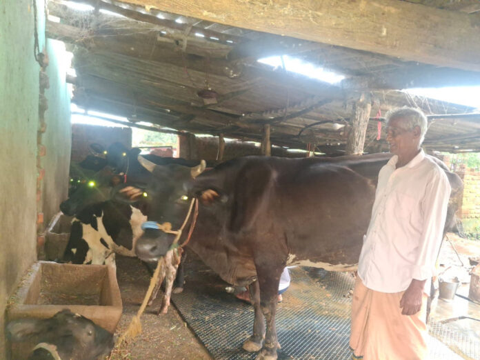 रायगढ़ : पीएम किसान सम्मान निधि की बचत से खरीदी पहली गाय, आज 10 गायों के साथ आत्मनिर्भर बने 75 वर्षीय परशुराम गुप्ता
