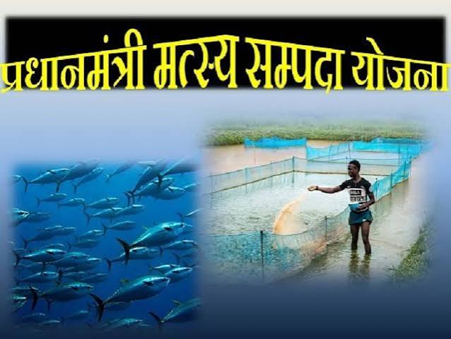 ashif copy सेवा संकल्प अभियान : प्रधानमंत्री मत्स्य संपदा योजना ने बदली हेमलाल चुरेन्द्र की आर्थिक तस्वीर