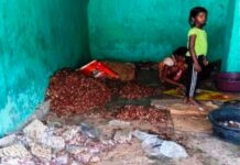 इमली चपाती निर्माण से बदली बस्तर के किसान डमरू कश्यप की तकदीर इमली चपाती निर्माण से बदली बस्तर के किसान डमरू कश्यप की तकदीर