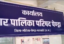 नगरपालिका परिषद पेंड्रा के विकास कार्यों के लिए अधोसंरचना मद से 48 लाख रुपए की स्वीकृति नगरपालिका परिषद पेंड्रा के विकास कार्यों के लिए अधोसंरचना मद से 48 लाख रुपए की स्वीकृति