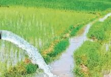 नौ सिंचाई योजनाओं के कार्यों के लिए 39.11 करोड़ रुपये स्वीकृत नौ सिंचाई योजनाओं के कार्यों के लिए 39.11 करोड़ रुपये स्वीकृत