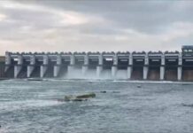 धमतरी : गंगरेल बांध के 7 गेट खोले गए, 42,540 क्यूसेक पानी छोड़ा जा रहा धमतरी : गंगरेल बांध के 7 गेट खोले गए, 42,540 क्यूसेक पानी छोड़ा जा रहा