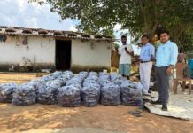 सेवा संकल्प अभियान : सेवा की कहानी: ग्राफ्टेड बैंगन की खेती से हरिहर साय ने बढ़ाई आमदनी, कोलकाता तक पहुंच रही उपज सेवा संकल्प अभियान : सेवा की कहानी: ग्राफ्टेड बैंगन की खेती से हरिहर साय ने बढ़ाई आमदनी, कोलकाता तक पहुंच रही उपज