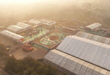 बस्तर के लालबाग में वनोपज से सजी 20,700 वर्गफीट की भव्य रंगोली ने रचा विश्व रिकॉर्ड, राष्ट्रपति द्रौपदी मुर्मु ने किया अवलोकन बस्तर के लालबाग में वनोपज से सजी 20,700 वर्गफीट की भव्य रंगोली ने रचा विश्व रिकॉर्ड, राष्ट्रपति द्रौपदी मुर्मु ने किया अवलोकन