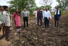 कवर्धा : बारिश से फसलों को हुए नुकसान का जायजा लेने खेतों में पहुंचीं कलेक्टर