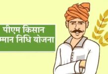 उत्तर बस्तर कांकेर : पी.एम. किसान सम्मान निधि योजना की 24वीं किस्त की राशि 30 अक्टूबर को होगी जारी उत्तर बस्तर कांकेर : पी.एम. किसान सम्मान निधि योजना की 24वीं किस्त की राशि 30 अक्टूबर को होगी जारी