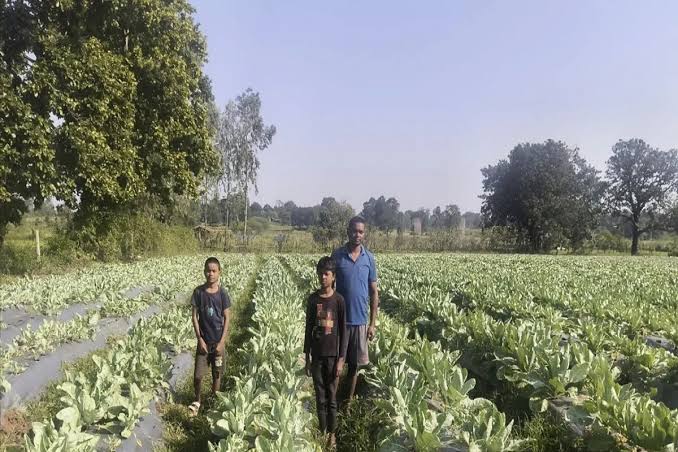 ashif copy फूलगोभी की उन्नत खेती से प्रमोद सिंह को मिला 1.50 लाख रुपए का लाभ