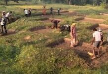 सेवा संकल्प अभियान : धमतरी में वीबी-जी रामजी योजना से बदलेगी ग्रामीण आजीविका की तस्वीर सेवा संकल्प अभियान : धमतरी में वीबी-जी रामजी योजना से बदलेगी ग्रामीण आजीविका की तस्वीर